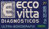 2620  SP  04/01  Ecco Vitta (Diagnsticos) Tir.10.0000 Interp.